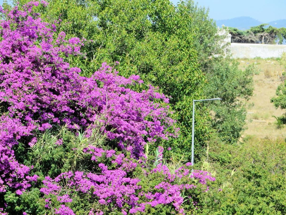 Apartment Cais By In Alentejo Vila Nova de Milfontes